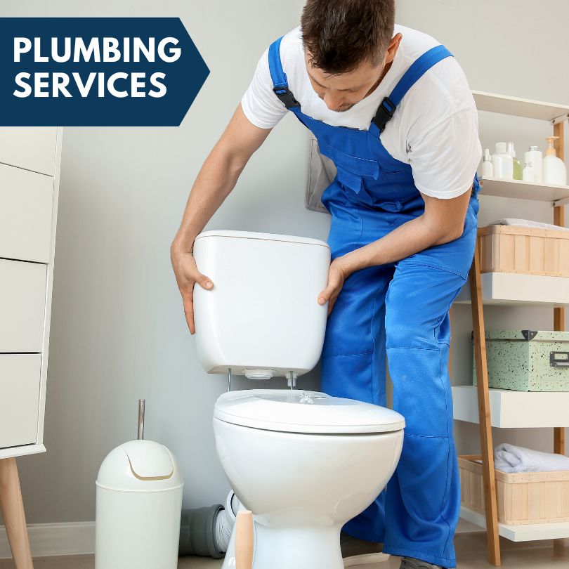 Plumbing Company in Blissfield, MI